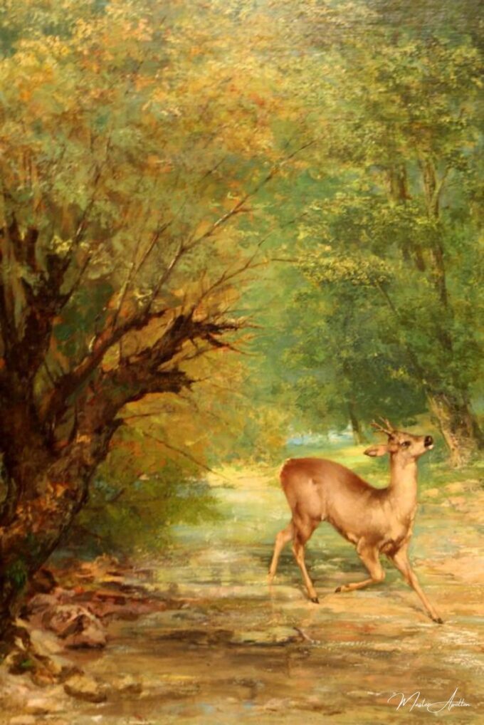 Witterndes cerf – Gustave Courbet Gustave Courbet 2